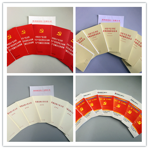 兩學(xué)一做資料.jpg